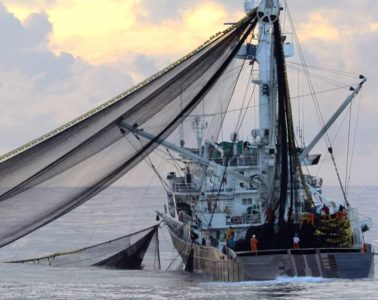 La flota atunera española impulsa una alianza internacional para retirar dispositivos abandonados en los océanos (Foto OPAGAC)