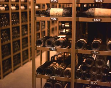 La gran aventura del vino, desde sus orígenes hasta la actual enogastronomía
