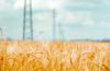 Las tensiones geopolíticas y la crisis climática podrían elevar más los precios mundiales de los alimentos