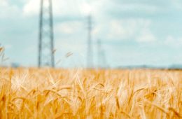 Las tensiones geopolíticas y la crisis climática podrían elevar más los precios mundiales de los alimentos