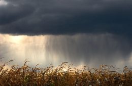 La incertidumbre meteorológica y geopolítica acelera la inversión de las empresas en adaptación climática