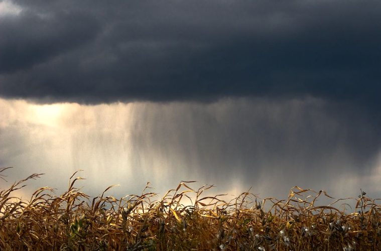 La incertidumbre meteorológica y geopolítica acelera la inversión de las empresas en adaptación climática
