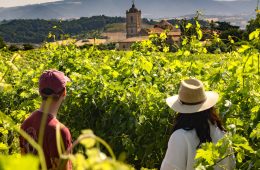 Perfil de quienes visitan las diferentes Rutas del Vino de España (Foto Acevin)