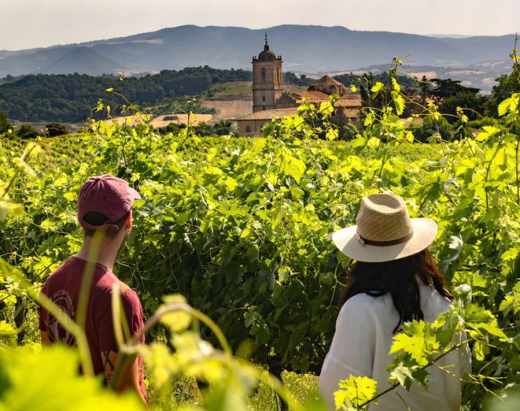 Perfil de quienes visitan las diferentes Rutas del Vino de España (Foto Acevin)