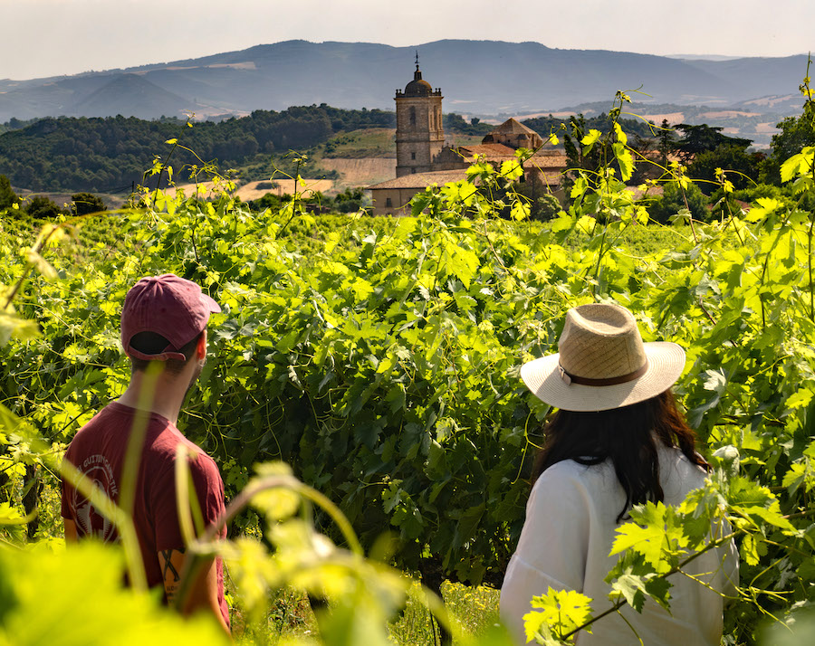 Perfil de quienes visitan las diferentes Rutas del Vino de España
