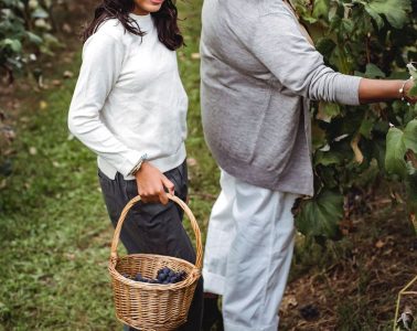 Recuperando la rebusca, antigua tradición tras la vendimia