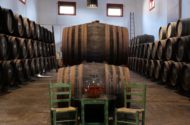 Condado de Huelva y León, dos nuevas Rutas del Vino de España (Foto Ruta del Vino Condado de Huelva)