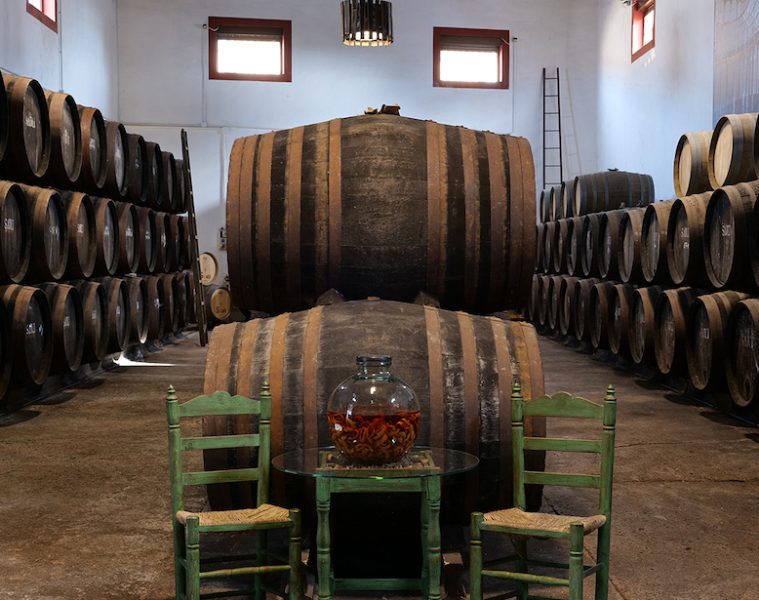 Condado de Huelva y León, dos nuevas Rutas del Vino de España (Foto Ruta del Vino Condado de Huelva)