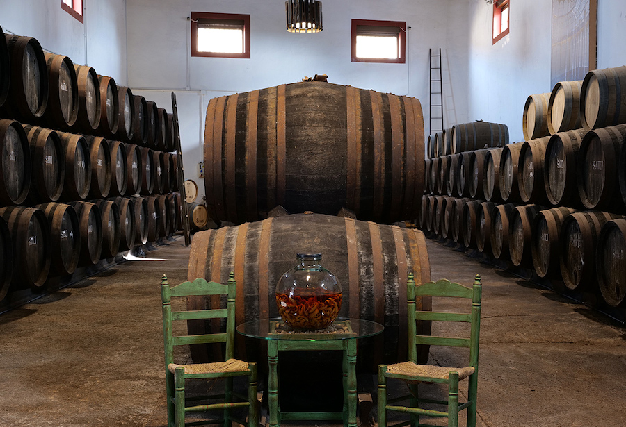 Condado de Huelva y León, dos nuevas Rutas del Vino de España