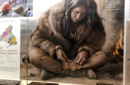 El Abrigo del Monte, exposición sobre los cazadores-recolectores que habitaron la sierra de Madrid (Foto C de M)