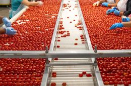 Lo que la industria alimentaria pide a los partidos en las próximas elecciones del 29N