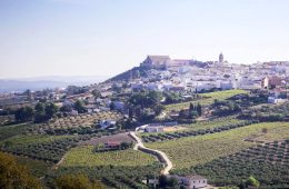 Montilla, Ciudad Española del Vino 2027 (Foto ACEVIN)
