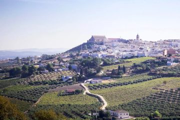 Montilla, Ciudad Española del Vino 2027 (Foto ACEVIN)