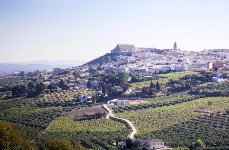 Montilla, Ciudad Española del Vino 2027 (Foto ACEVIN)