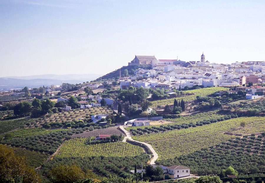 Montilla, Ciudad Española del Vino 2027