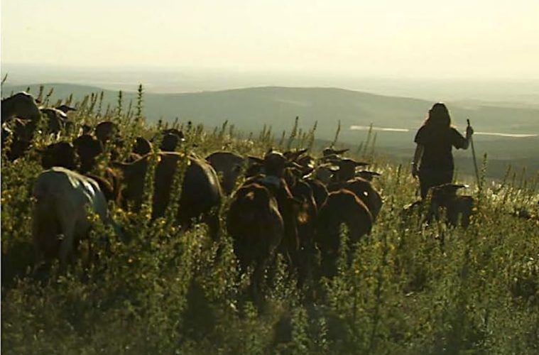 Nuevo Ciclo Nacional de Cine y Mujeres Rurales, presencial y online (Foto detalle cartel Camino Roya, un mapa de ida y vuelta)
