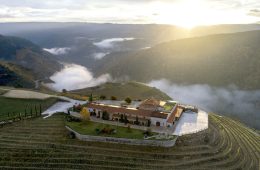 Premios de Enoturismo Rutas del Vino de España las mejores propuestas del año (Foto ACEVIN)