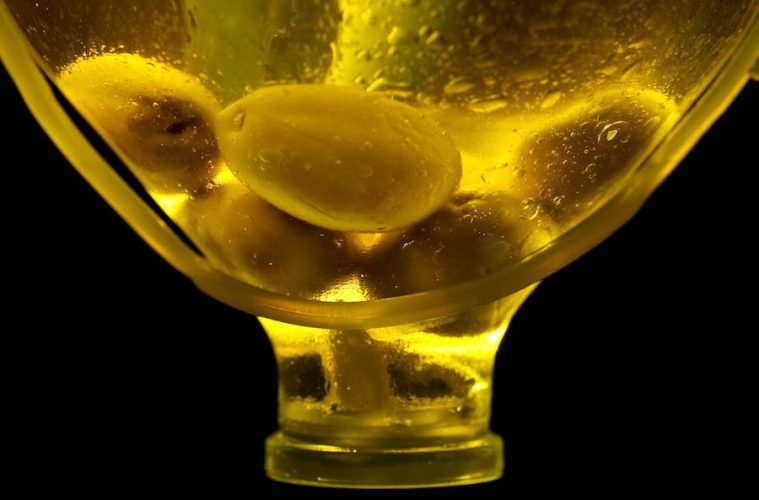 Primeras estimaciones: la producción de aceite de oliva en la campaña 2026:27, un 23 % superior a la pasada